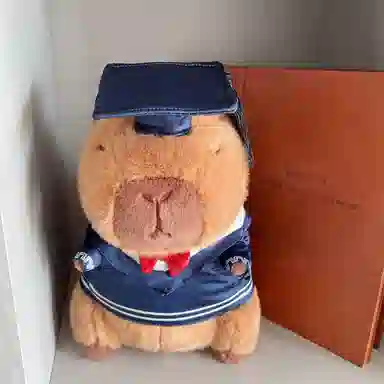25cm35cm48cm