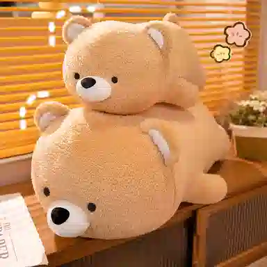 40cm60cm