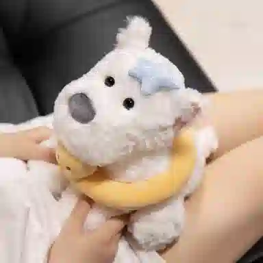 23cm