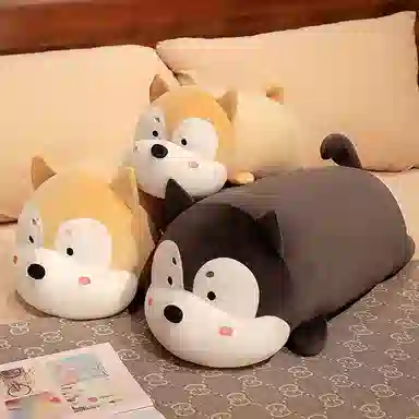 45cm65cm