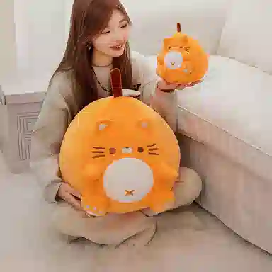 23cm50cm