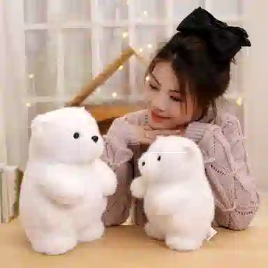 23cm30cm