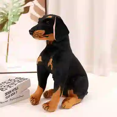 25cm30cm40cm45cm55cm75cm