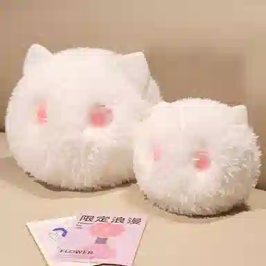 15cm20cm