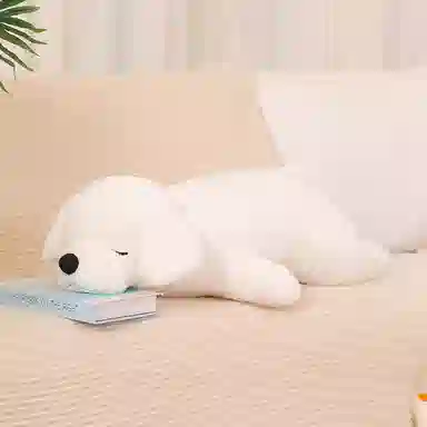 50cm80cm100cm