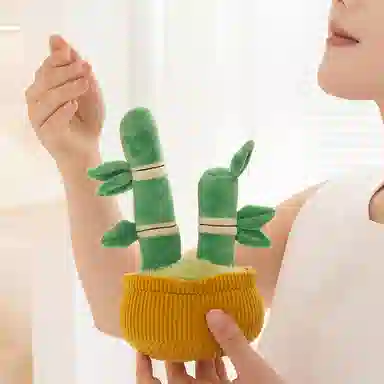 20cm
