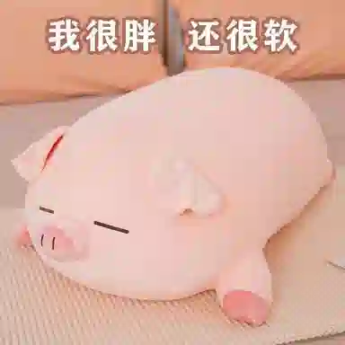 40cm50cm60cm