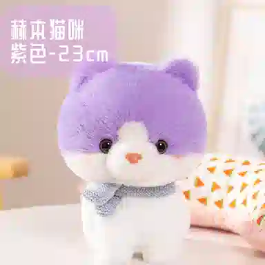 23cm