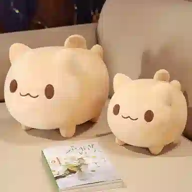 20cm25cm