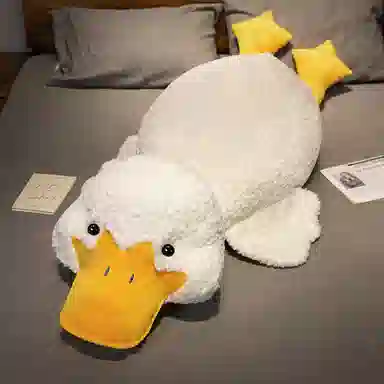 55cm70cm120cm175cm