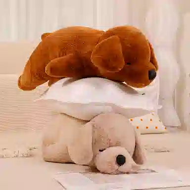 50cm80cm100cm