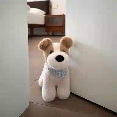 18cm