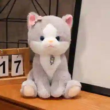 23cm25cm