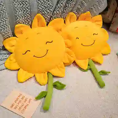 45cm