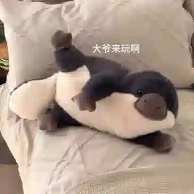 60cm