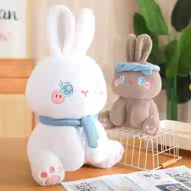 30cm50cm