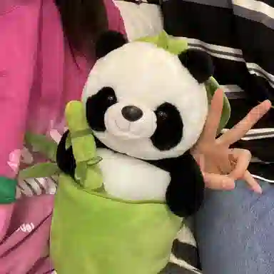 30cm