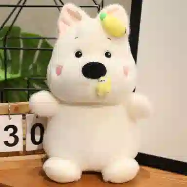 30cm