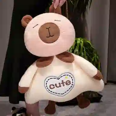 50cm