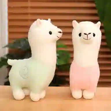 25cm35cm80cm