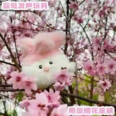 11cm