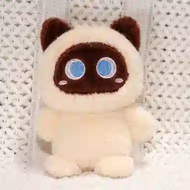 20cm