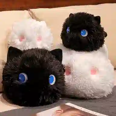 15cm20cm