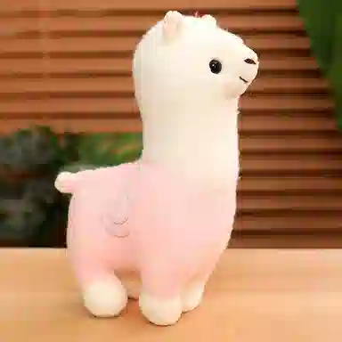 25cm35cm80cm