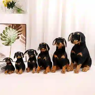 25cm30cm40cm45cm55cm75cm