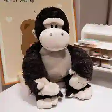 25cm35cm