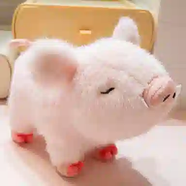 20cm30cm