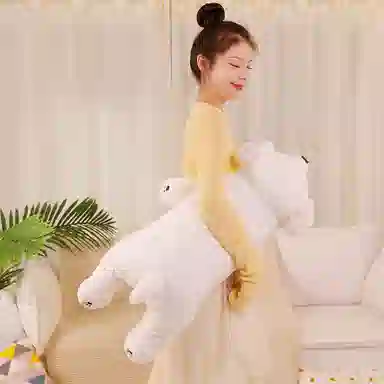 50cm80cm100cm