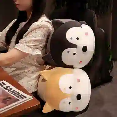 45cm65cm