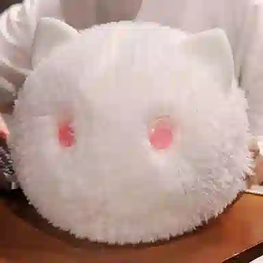 15cm20cm