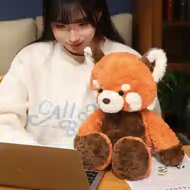 50cm80cm