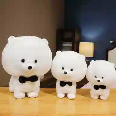 25cm30cm40cm