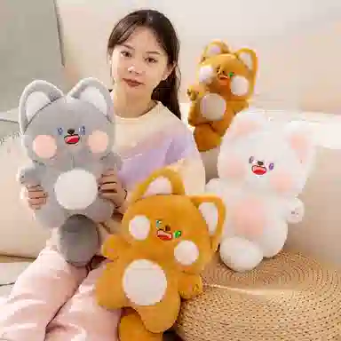 25cm38cm