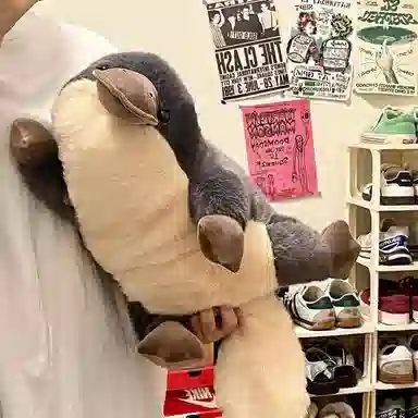 60cm