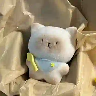 12cm