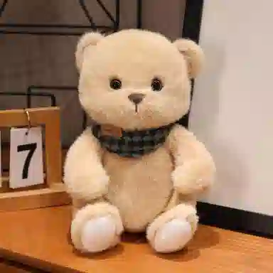 23cm25cm