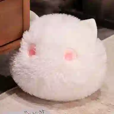 15cm20cm