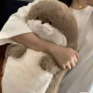 40cm