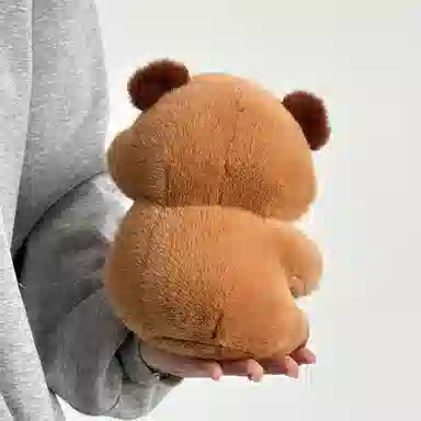 20cm