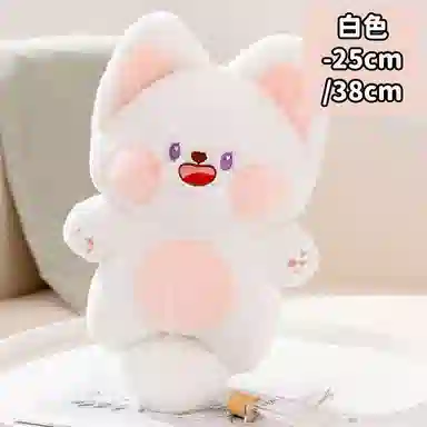 25cm38cm