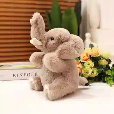 25cm30cm35cm45cn55cm