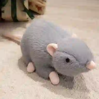20cm30cm