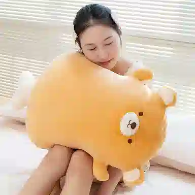 45cm65cm
