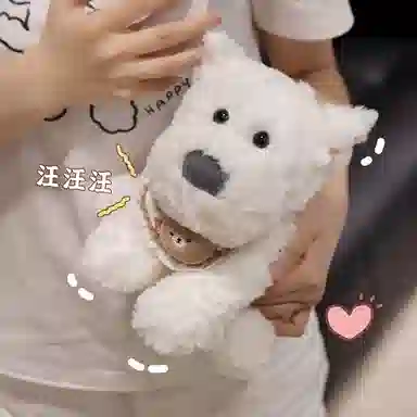 23cm
