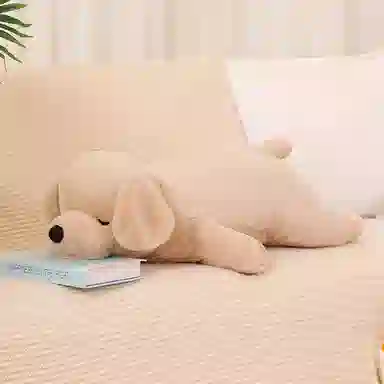 50cm80cm100cm