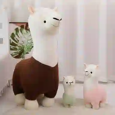 25cm35cm80cm